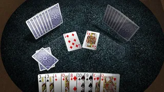 Скриншот 4 к игре Skat 3D Premium
