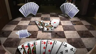 Скриншот 5 к игре Skat 3D Premium