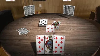 Скриншот 6 к игре Skat 3D Premium