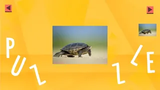Скриншот 1 к игре Game Of Puzzles: Animals