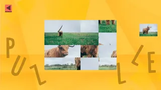 Скриншот 3 к игре Game Of Puzzles: Animals