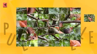 Скриншот 5 к игре Game Of Puzzles: Animals