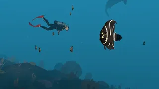Скриншот 4 к игре Dive with Sylvia VR