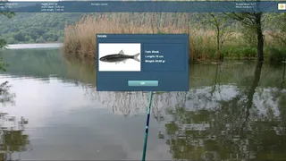 Скриншот 6 к игре Truefish