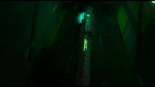 Скриншот 4 к игре Frequency Garden