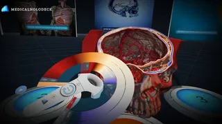 Скриншот 1 к игре MEDICALHOLODECK PRO FREE TRIAL | FULL FEATURES FOR 30 DAYS | Medical Virtual Reality | Medical VR | DICOM Viewer | Human Body VR | Human Anatomy | Virtual Surgery | Virtual Radiology  | Surgeon VR | 3D VR | Human Organs | Health | Healthcare | Nurse VR