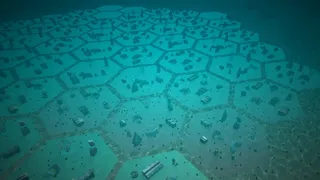Скриншот 5 к игре AQUARYOUNS World