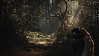 Скриншот 1 к игре Blair Witch