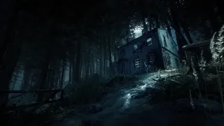 Скриншот 6 к игре Blair Witch