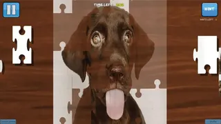 Скриншот 4 к игре Bepuzzled Puppy Dog Jigsaw Puzzle