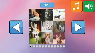 Скриншот 1 к игре Bepuzzled Kittens Jigsaw Puzzle