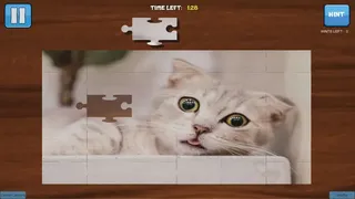 Скриншот 5 к игре Bepuzzled Kittens Jigsaw Puzzle