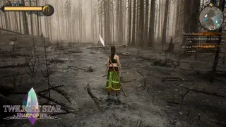 Скриншот 6 к игре TwilightStar: Heart of Eir
