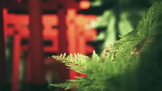 Скриншот 1 к игре Explore Fushimi Inari