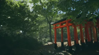 Скриншот 4 к игре Explore Fushimi Inari