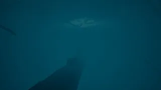 Скриншот 2 к игре ROAD HOMEWARD 3 underwater world