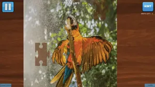 Скриншот 3 к игре Bepuzzled Jigsaw Puzzle: Paradise