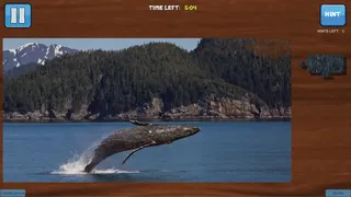 Скриншот 2 к игре Bepuzzled Jigsaw Puzzle: Aquatic