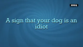 Скриншот 2 к игре Quiplash 2 InterLASHional