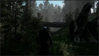 Скриншот 1 к игре Einn