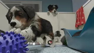 Скриншот 1 к игре Dog Trainer