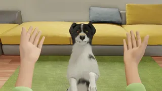 Скриншот 2 к игре Dog Trainer