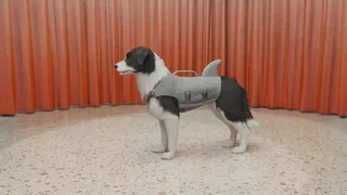 Скриншот 4 к игре Dog Trainer