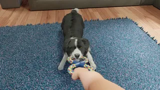 Скриншот 6 к игре Dog Trainer