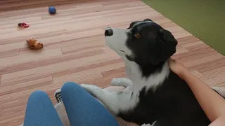 Скриншот 8 к игре Dog Trainer