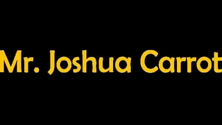 Скриншот 6 к игре Mr  Joshua Carrot