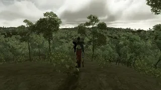 Скриншот 4 к игре Forest Mage