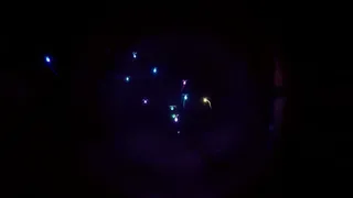 Скриншот 3 к игре Psychose