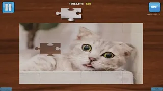 Скриншот 1 к игре Bepuzzled Ultimate Jigsaw Puzzle Mega Bundle