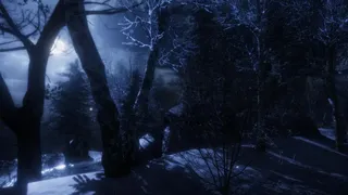 Скриншот 5 к игре The Forgotten