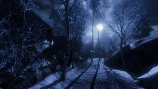 Скриншот 6 к игре The Forgotten