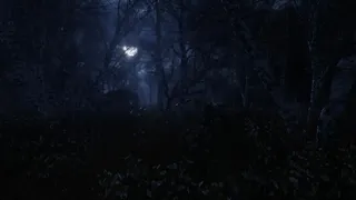 Скриншот 8 к игре The Forgotten