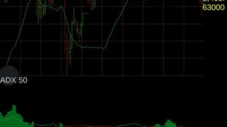 Скриншот 3 к игре Forex Demo Accelerator
