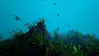 Скриншот 6 к игре Ecosystem