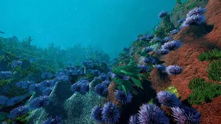 Скриншот 8 к игре Ecosystem