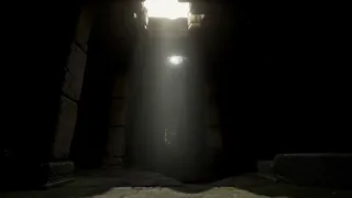 Скриншот 2 к игре Follow the White Rabbit VR (화이트래빗)