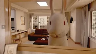 Скриншот 3 к игре Follow the White Rabbit VR (화이트래빗)