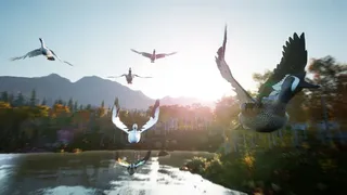Скриншот 3 к игре Hunting Simulator 2