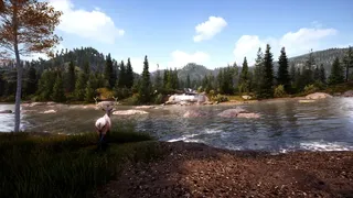 Скриншот 4 к игре Hunting Simulator 2