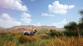 Скриншот 7 к игре Hunting Simulator 2