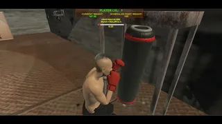 Скриншот 4 к игре Art of Boxing