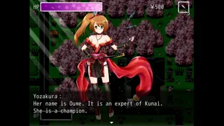 Скриншот 7 к игре Kunoichi Ninja