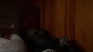 Скриншот 2 к игре Bed Lying Simulator 2020