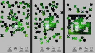 Скриншот 3 к игре Jigsaw puzzle - Evolution