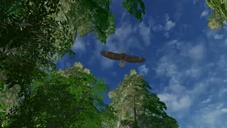 Скриншот 2 к игре Safari Grounds - The Wilpattu Leopard