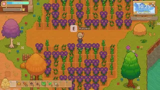 Скриншот 2 к игре Peaceful Days